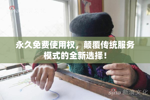 永久免费使用权，颠覆传统服务模式的全新选择！