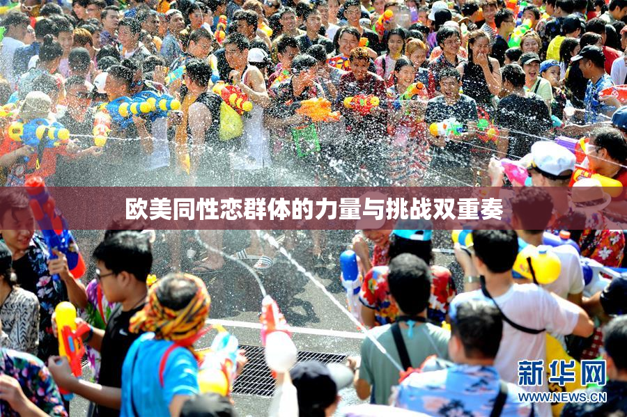 欧美同性恋群体的力量与挑战双重奏