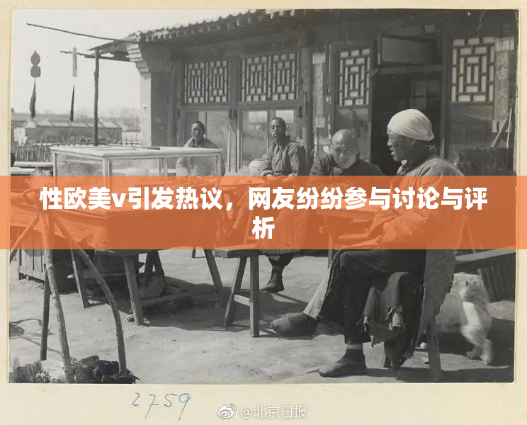 性欧美v引发热议，网友纷纷参与讨论与评析