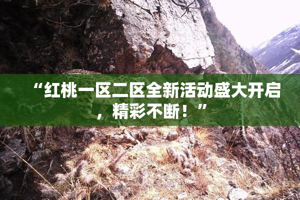 “红桃一区二区全新活动盛大开启，精彩不断！”