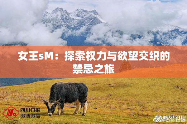 女王sM：探索权力与欲望交织的禁忌之旅