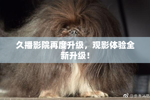 久播影院再度升级，观影体验全新升级！