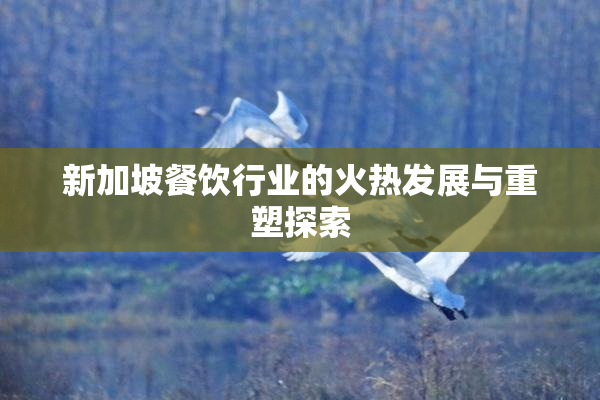 新加坡餐饮行业的火热发展与重塑探索
