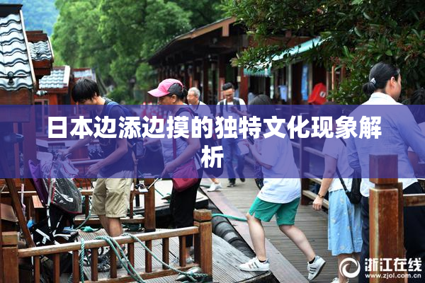 日本边添边摸的独特文化现象解析