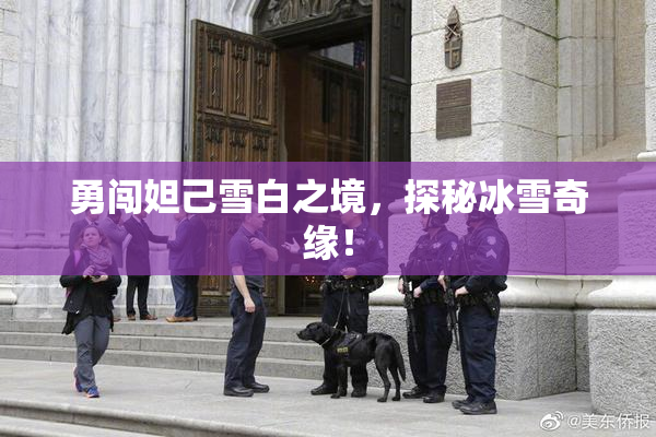 勇闯妲己雪白之境，探秘冰雪奇缘！