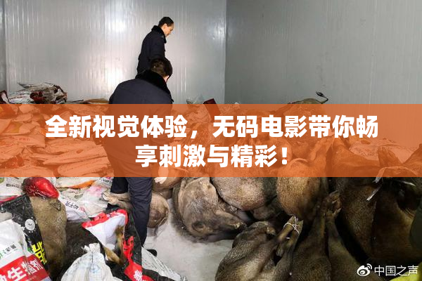 全新视觉体验，无码电影带你畅享刺激与精彩！