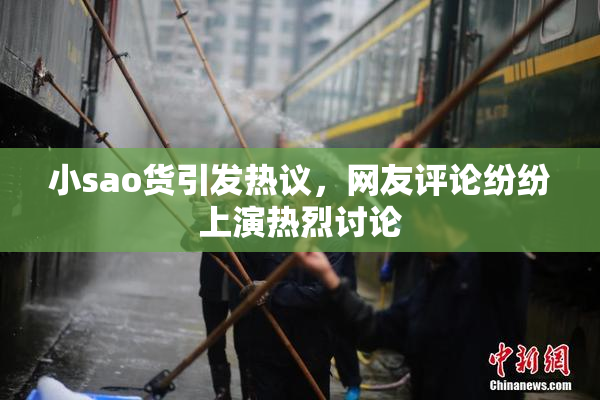 小sao货引发热议，网友评论纷纷上演热烈讨论