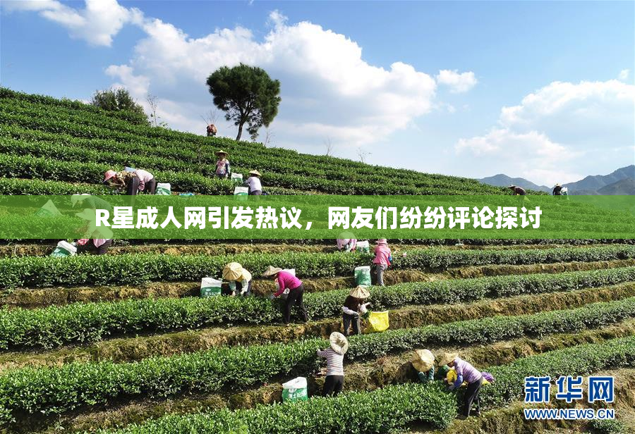 R星成人网引发热议，网友们纷纷评论探讨
