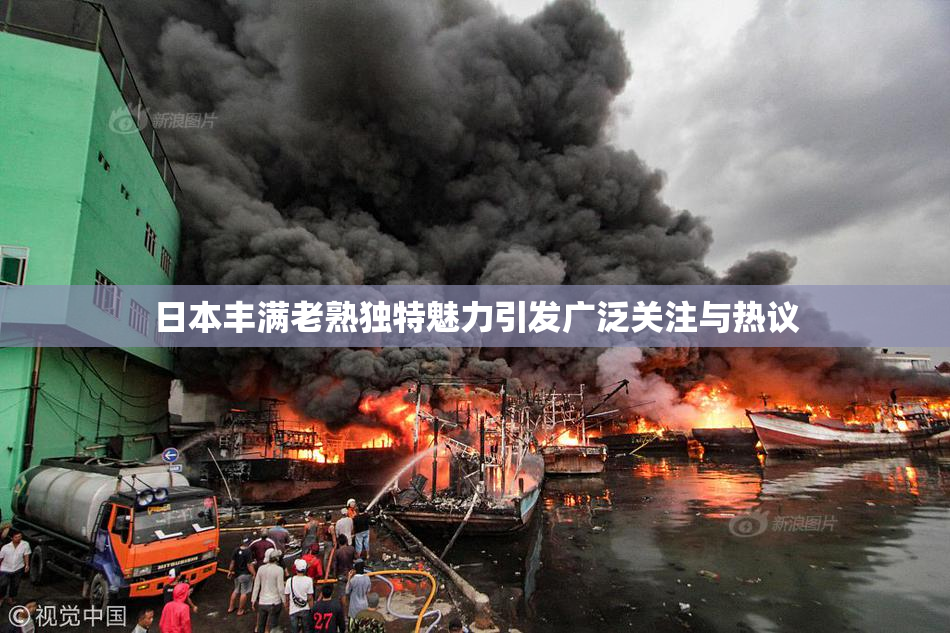 日本丰满老熟独特魅力引发广泛关注与热议