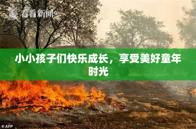 小小孩子们快乐成长，享受美好童年时光