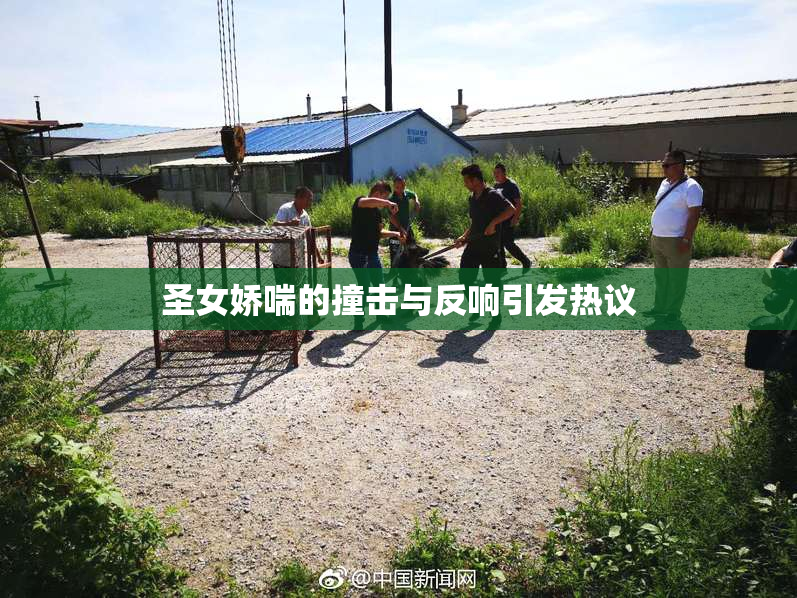 圣女娇喘的撞击与反响引发热议