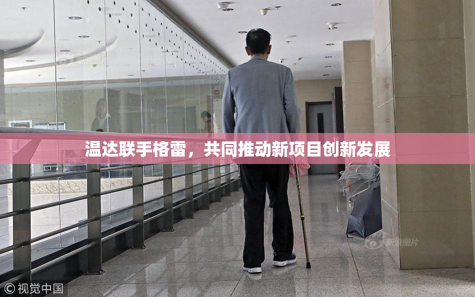 温达联手格雷，共同推动新项目创新发展