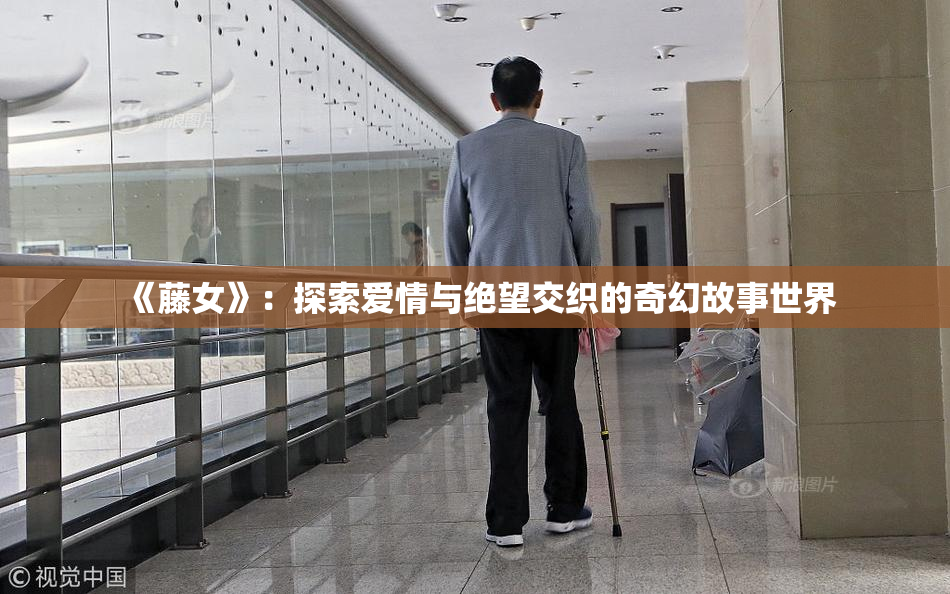 《藤女》：探索爱情与绝望交织的奇幻故事世界