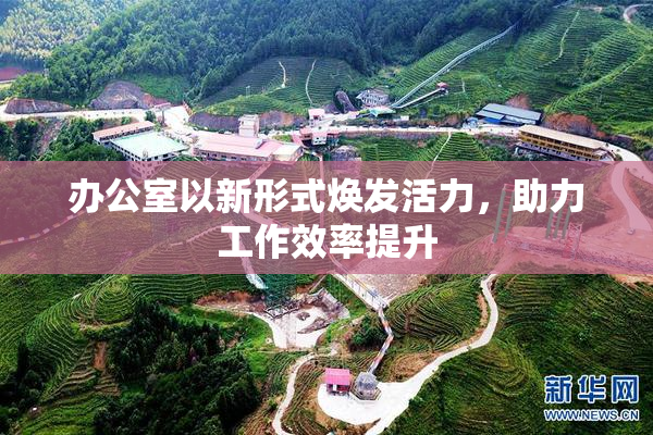 办公室以新形式焕发活力，助力工作效率提升