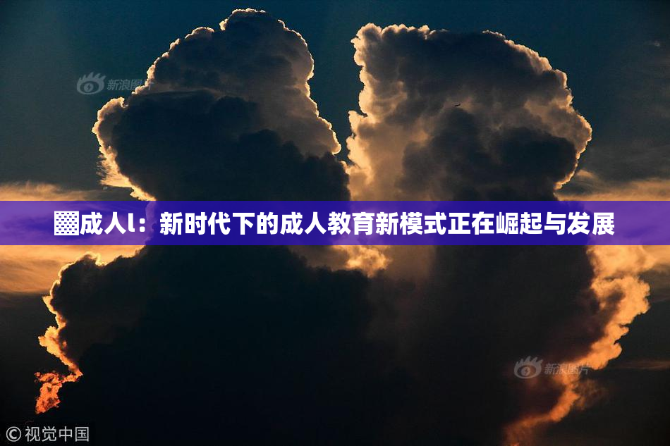 ▓成人l：新时代下的成人教育新模式正在崛起与发展