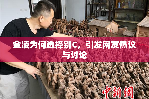 金凌为何选择别C，引发网友热议与讨论