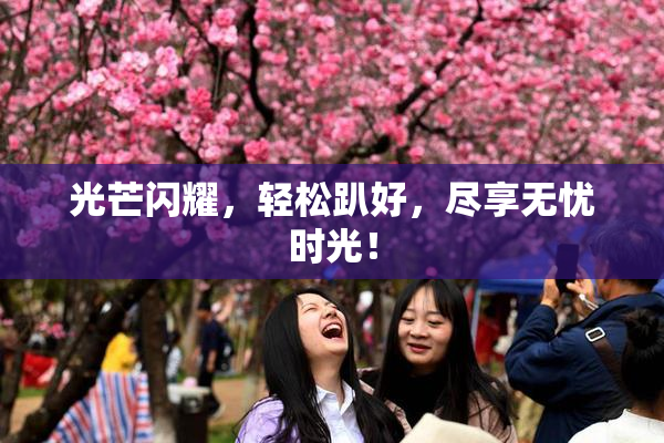 光芒闪耀，轻松趴好，尽享无忧时光！