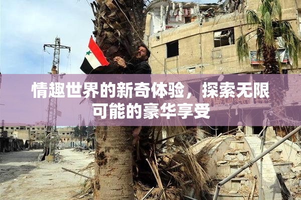 情趣世界的新奇体验，探索无限可能的豪华享受
