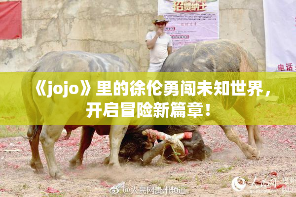 《jojo》里的徐伦勇闯未知世界，开启冒险新篇章！