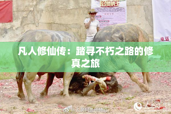 凡人修仙传：踏寻不朽之路的修真之旅