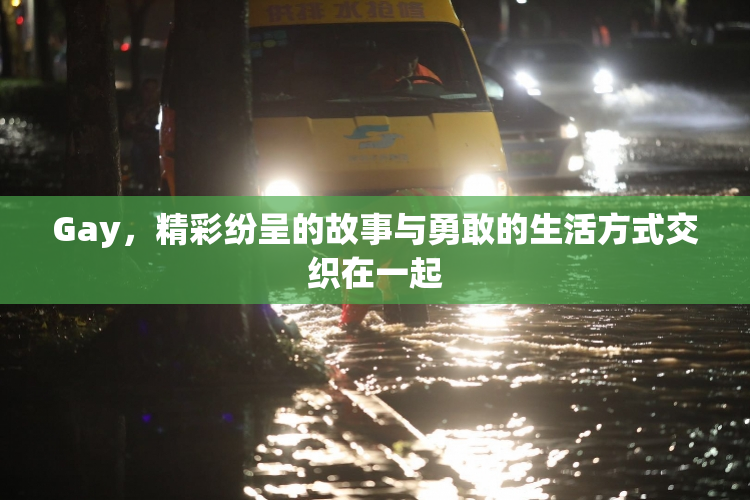 Gay，精彩纷呈的故事与勇敢的生活方式交织在一起