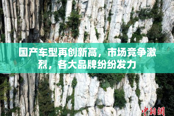 国产车型再创新高，市场竞争激烈，各大品牌纷纷发力