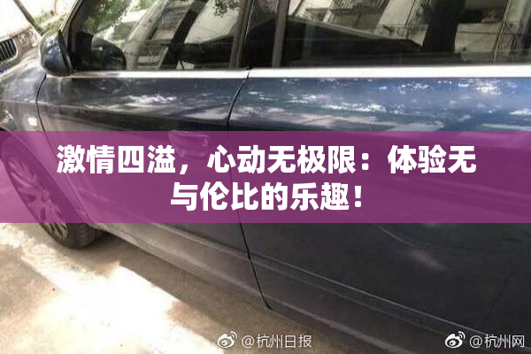 激情四溢，心动无极限：体验无与伦比的乐趣！
