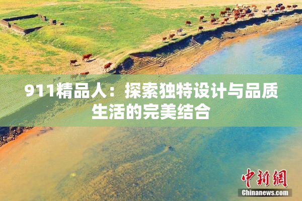 911精品人：探索独特设计与品质生活的完美结合