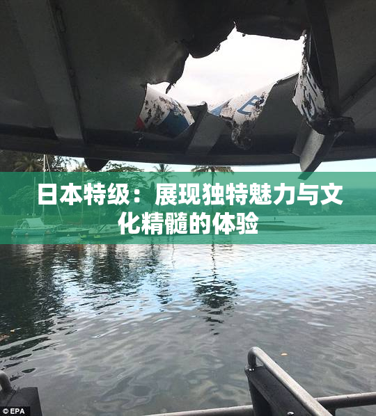 日本特级：展现独特魅力与文化精髓的体验