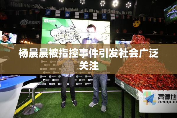 杨晨晨被指控事件引发社会广泛关注