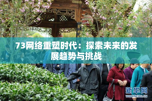 73网络重塑时代：探索未来的发展趋势与挑战