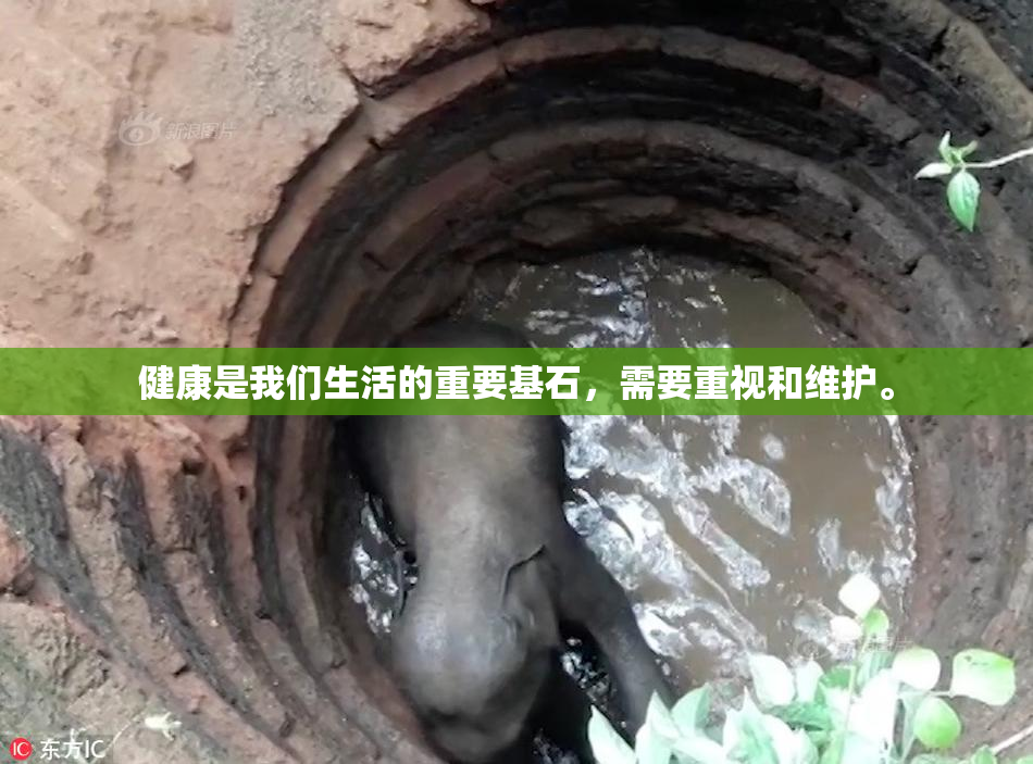 健康是我们生活的重要基石，需要重视和维护。