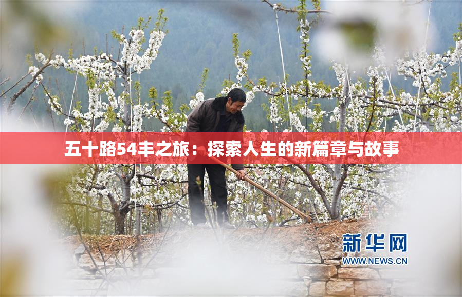 五十路54丰之旅：探索人生的新篇章与故事