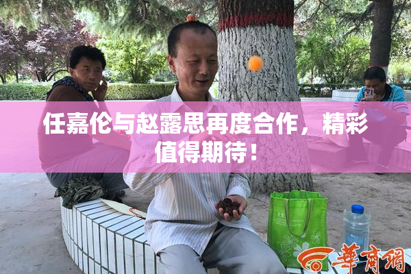 任嘉伦与赵露思再度合作，精彩值得期待！