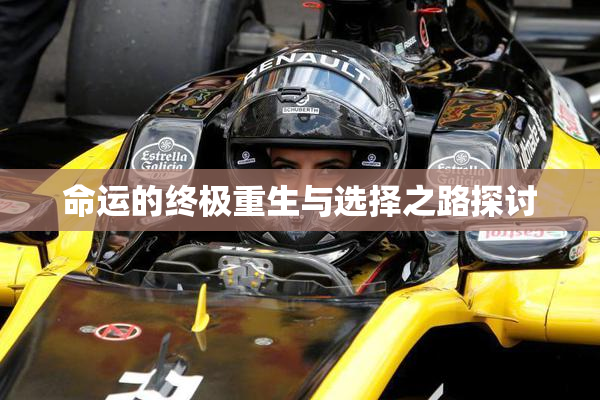 命运的终极重生与选择之路探讨
