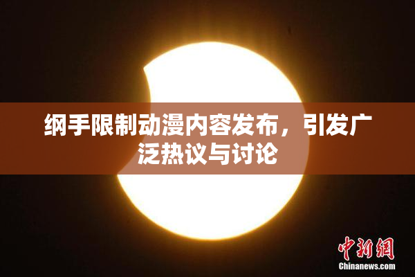 纲手限制动漫内容发布，引发广泛热议与讨论
