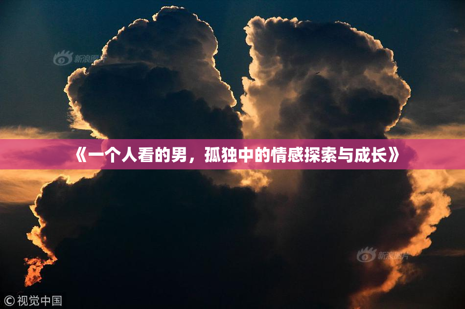 《一个人看的男，孤独中的情感探索与成长》