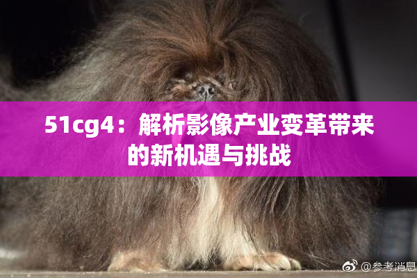51cg4：解析影像产业变革带来的新机遇与挑战