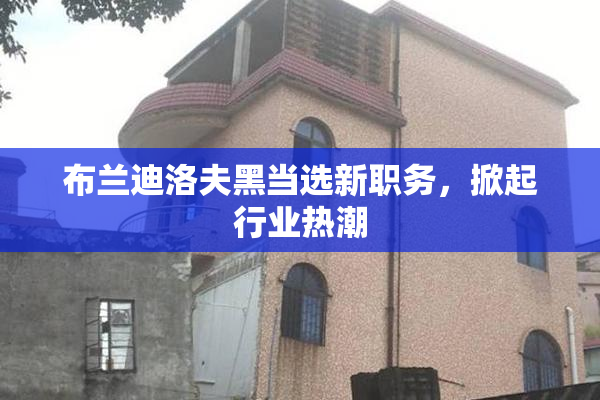 布兰迪洛夫黑当选新职务，掀起行业热潮