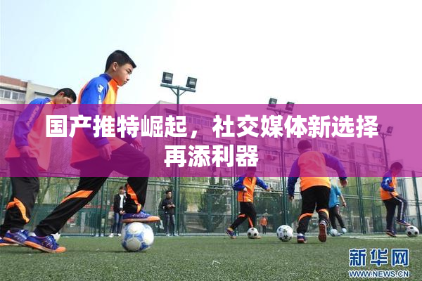 国产推特崛起，社交媒体新选择再添利器