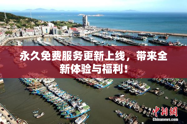 永久免费服务更新上线，带来全新体验与福利！