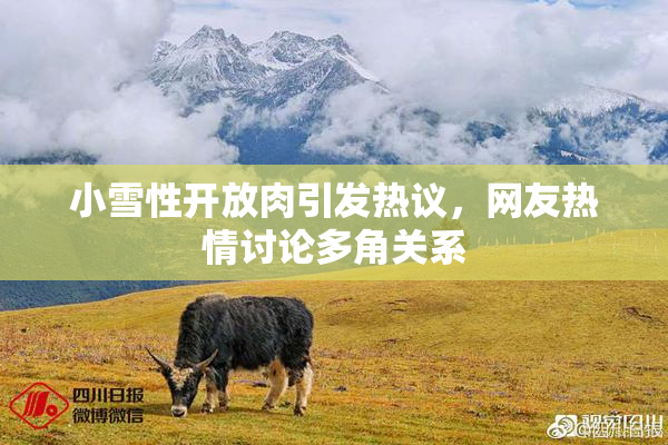 小雪性开放肉引发热议，网友热情讨论多角关系