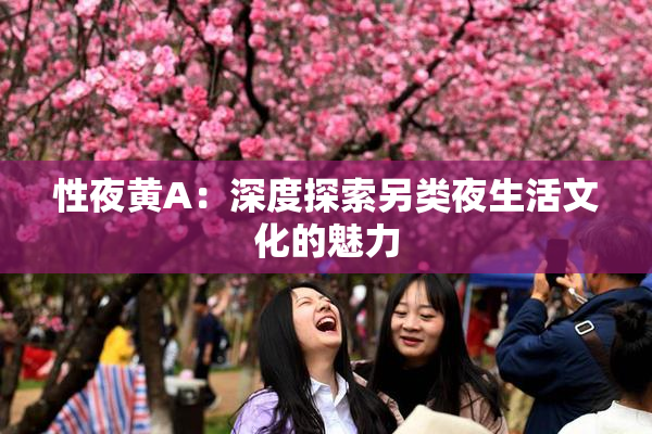 性夜黄A：深度探索另类夜生活文化的魅力