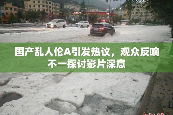 国产乱人伦A引发热议，观众反响不一探讨影片深意