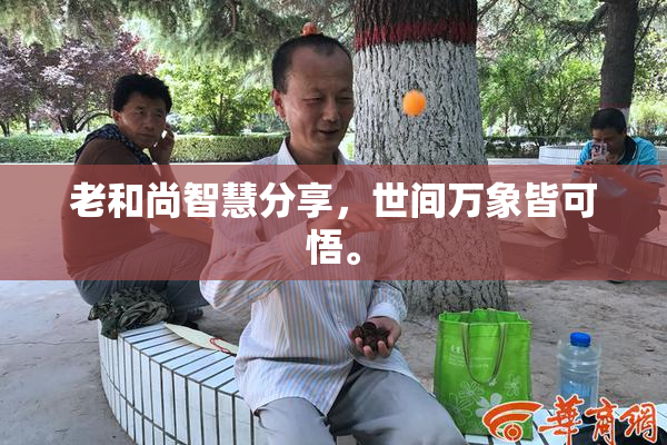 老和尚智慧分享，世间万象皆可悟。