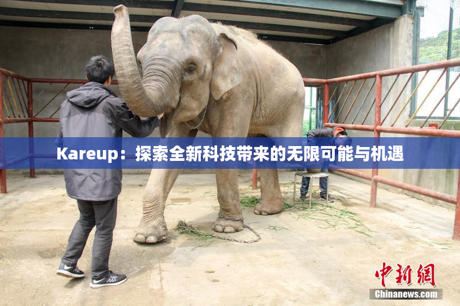 Kareup：探索全新科技带来的无限可能与机遇