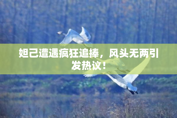 妲己遭遇疯狂追捧，风头无两引发热议！