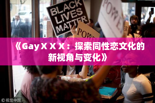 《GayⅩⅩⅩ：探索同性恋文化的新视角与变化》
