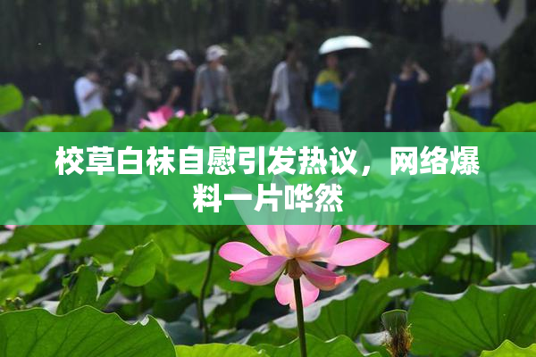 校草白袜自慰引发热议，网络爆料一片哗然