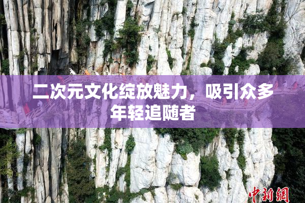 二次元文化绽放魅力，吸引众多年轻追随者